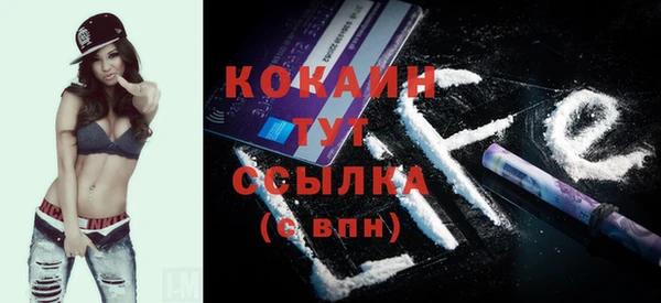 прущие крисы Бородино