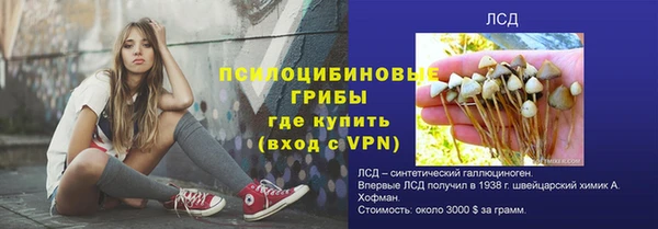 прущие крисы Бородино