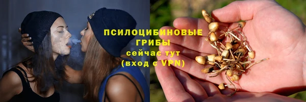 СК Бронницы