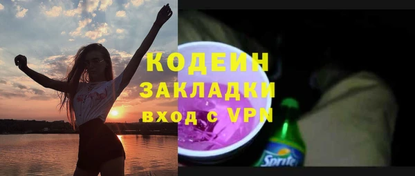 прущие крисы Бородино