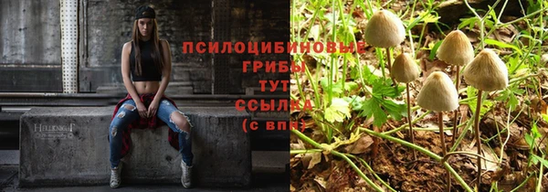 СК Бронницы