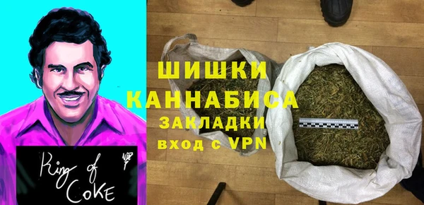 прущие крисы Бородино