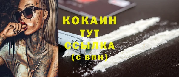СК Бронницы