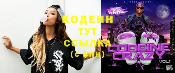 прущие крисы Бородино