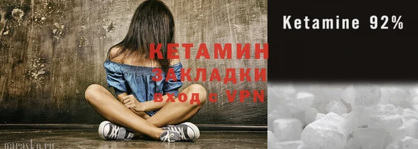 СК Бронницы