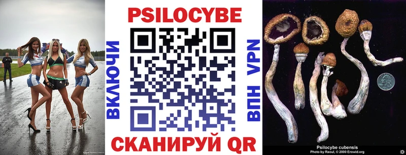 что такое   Новоульяновск  сайты даркнета телеграм  Галлюциногенные грибы Psilocybine cubensis 