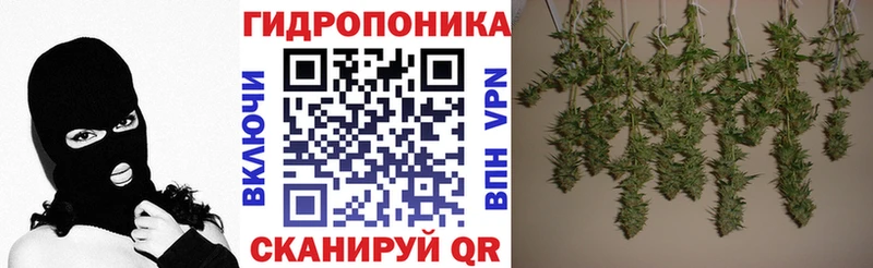 Бошки марихуана сатива  Новоульяновск 